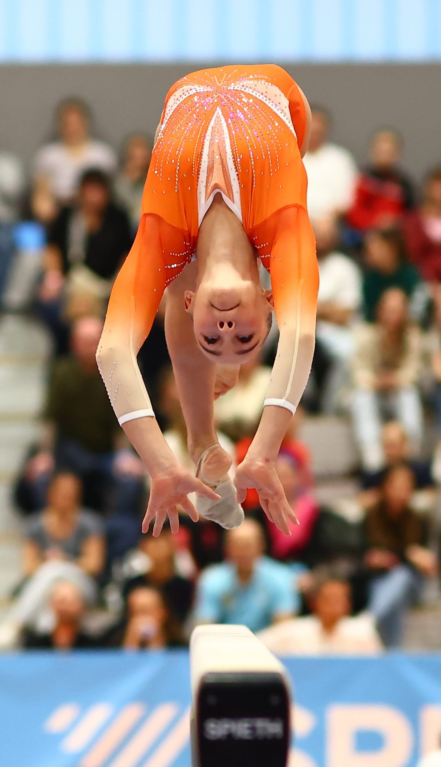Mehr über den Artikel erfahren TG Karlsruhe-Söllingen – selbstbewusst ins Bronze-Duell